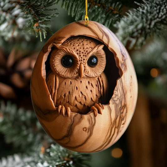 Shineful 2D Acrylic Ornament Whimsical Woodland Owls Set