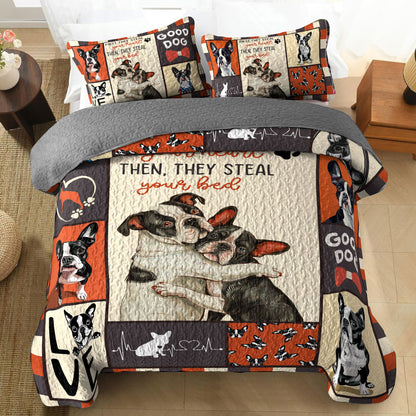 Shineful All Season Quilt 3-Piece Set Heart and Furry Thieves