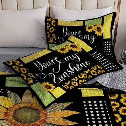 Shineful All Season Quilt 3-Piece Set You're My Sunshine