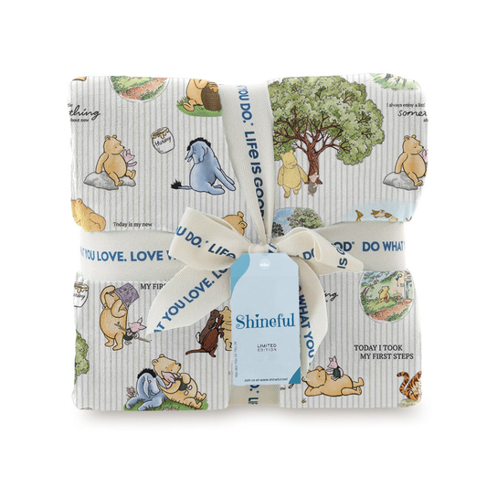 Shineful Fleece Blanket Pooh Dreams