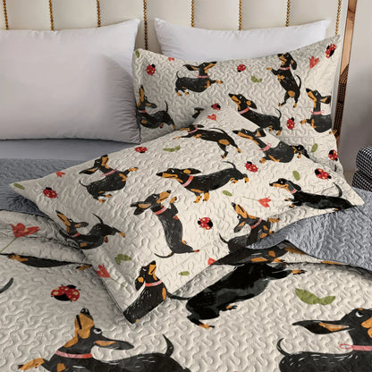 Shineful All Season Quilt 3-Piece Set Doxie Delight