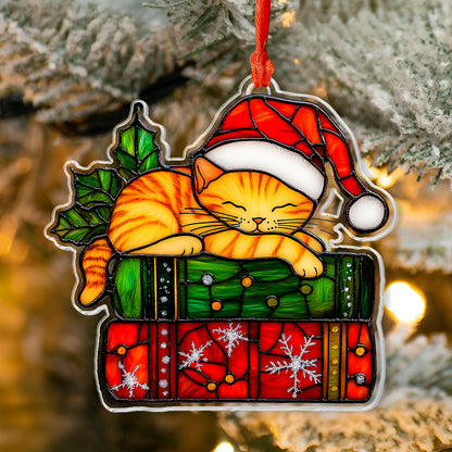 Shineful Acrylic Ornament Ginger Cat Sleeping With Books