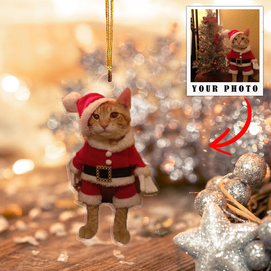 Cat Shineful® Decoration Ornament Personalized Upload Photo Nl09