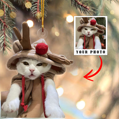 Cat Shineful® Decoration Ornament Personalized Upload Photo Nl09