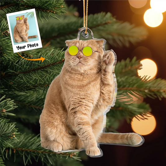 Funny Cat Gifts For Lovers - Personalized Acrylic Photo Ornament