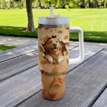 Shineful Tumbler Golden Retriever Breakthrough