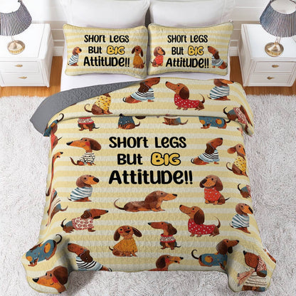 Shineful All Season Quilt 3-Piece Set Big Attitude