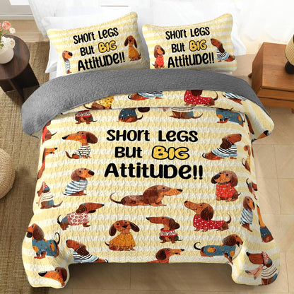 Shineful All Season Quilt 3-Piece Set Big Attitude