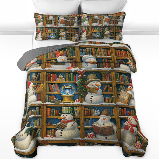 Shineful All Season Quilt 3-Piece Set Snowy Book Nook