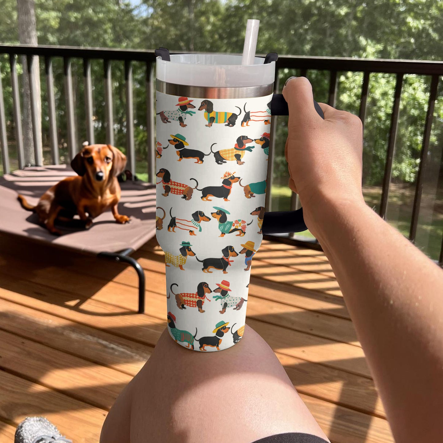 Shineful Tumbler Dapper Dachshunds