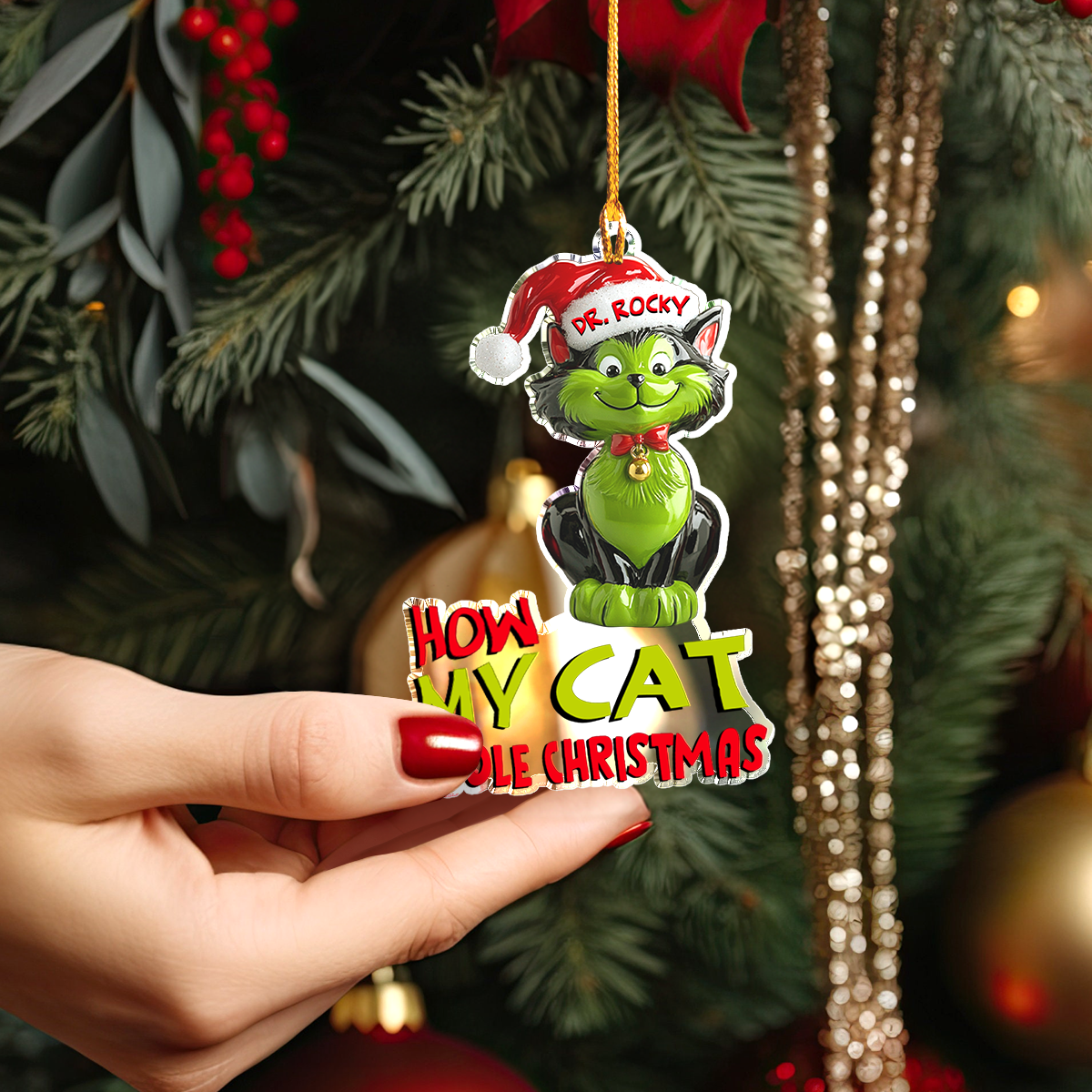 Shineful Personalized 2D Acrylic Ornament How My Cat Stole Christmas