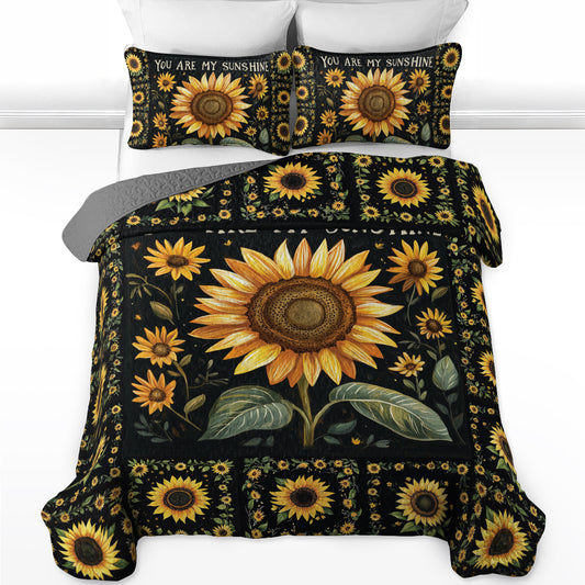 Shineful All Season Quilt 3-Piece Set You Are My Sunshine