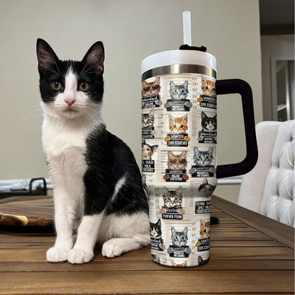 Shineful Tumbler Kitty Crime Spree