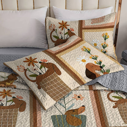 Shineful All Season Quilt 3-Piece Set Amazing Dachshunds