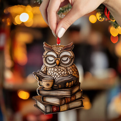 Shineful 2D Acrylic Ornament Wise Winter Reads Owl