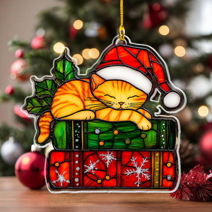 Shineful Acrylic Ornament Ginger Cat Sleeping With Books