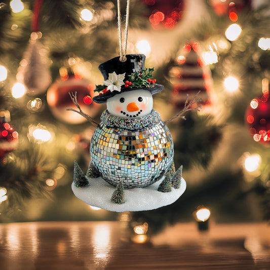 Shineful Acrylic Ornament Disco Frosty