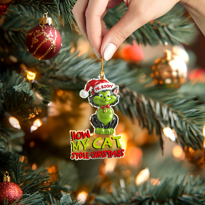 Shineful Personalized 2D Acrylic Ornament How My Cat Stole Christmas