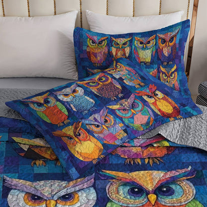 Shineful All Season Quilt 3-Piece Set Owl Friends