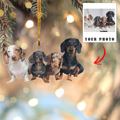 Dog Shineful® Decoration Ornament Personalized Upload Photo Lk8