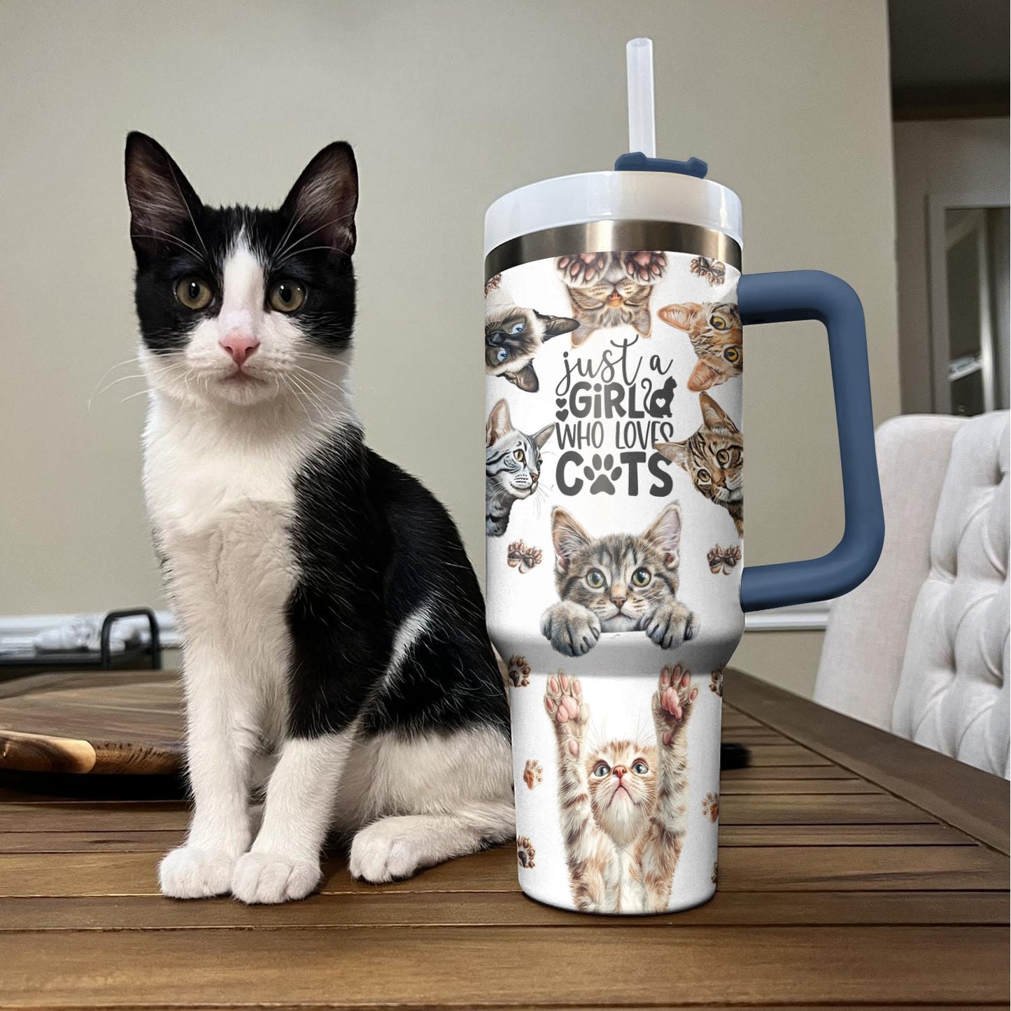 Shineful Tumbler Cat Lovers "Just a Girl Who Loves Cats"