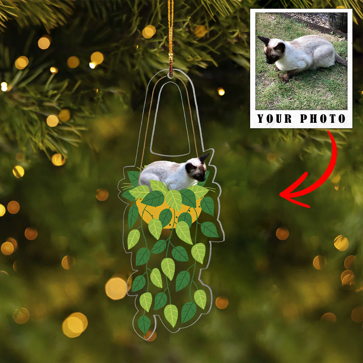 Cat Hanging Shineful® Decoration Ornament Personalized Upload Photo Qd5