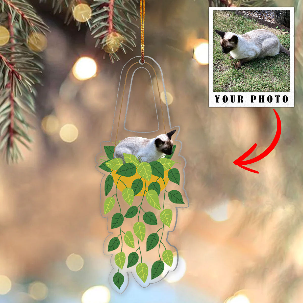 Cat Hanging Shineful® Decoration Ornament Personalized Upload Photo Qd5