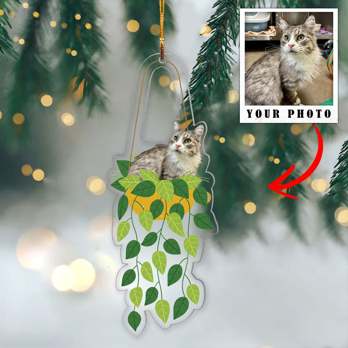 Cat Hanging Shineful® Decoration Ornament Personalized Upload Photo Qd5