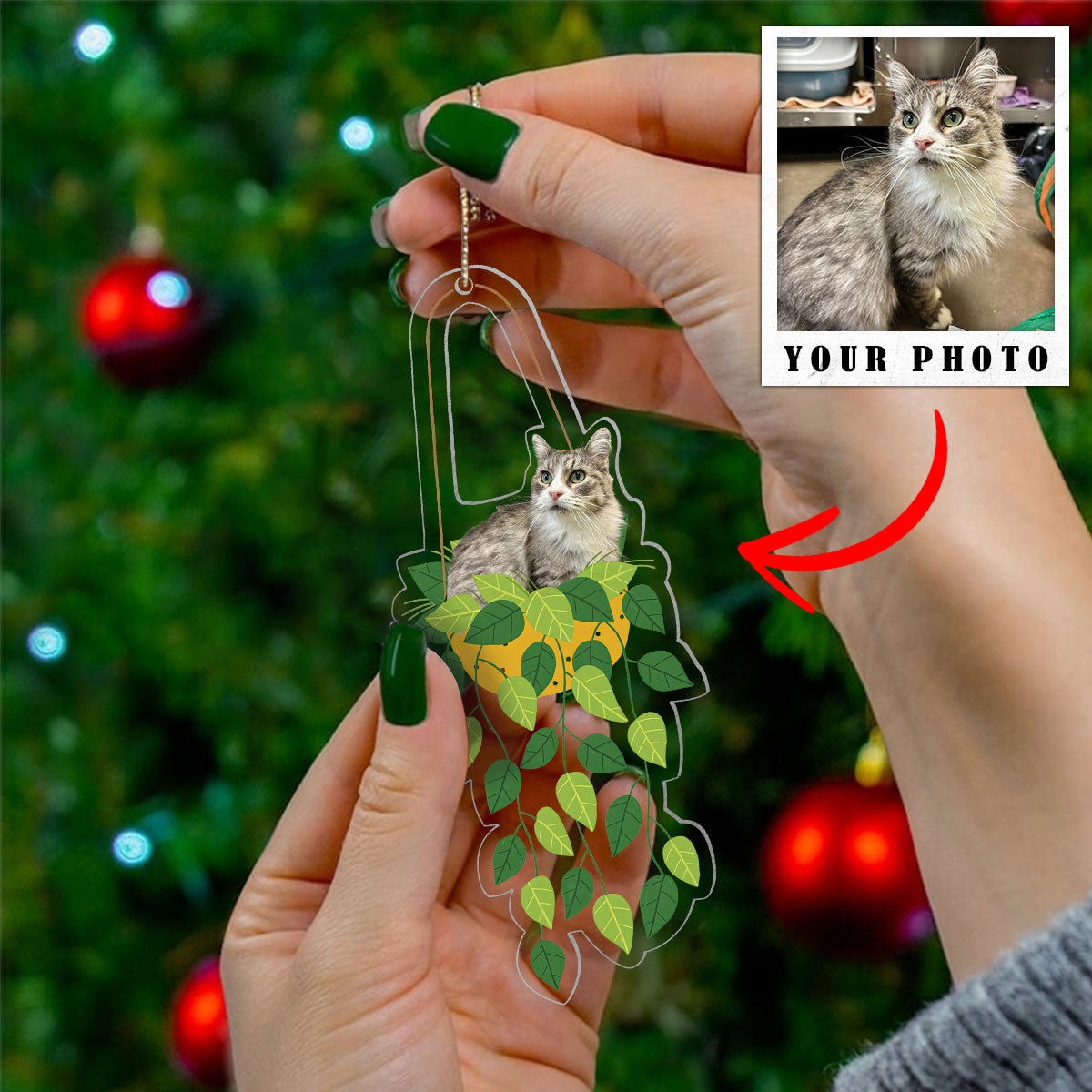 Cat Hanging Shineful® Decoration Ornament Personalized Upload Photo Qd5