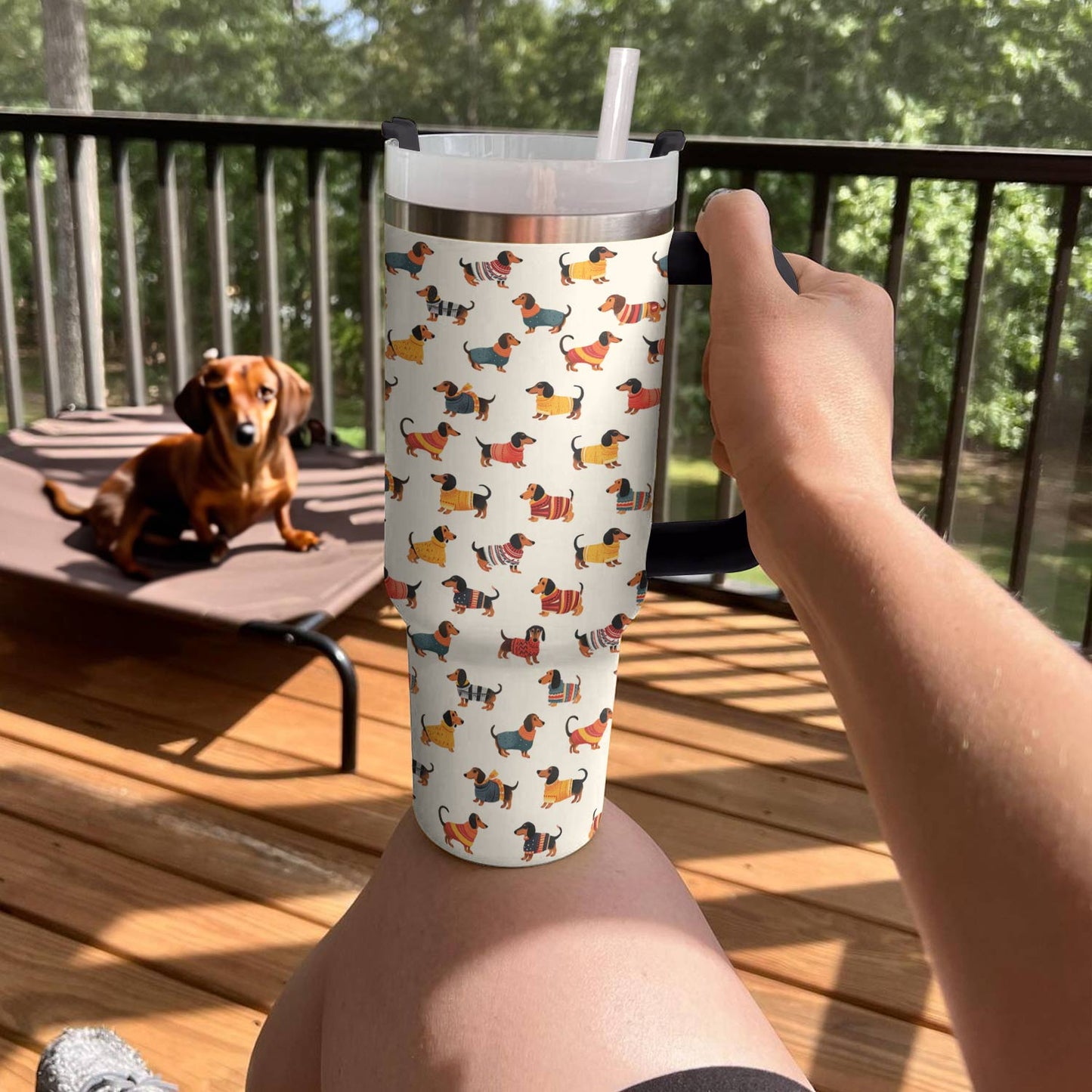 Shineful Tumbler Dachshund cute