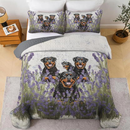 Shineful All Season Quilt 3-Piece Set - Rottweiler Field Dreams