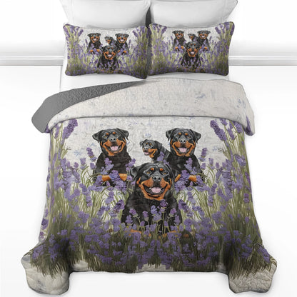 Shineful All Season Quilt 3-Piece Set - Rottweiler Field Dreams