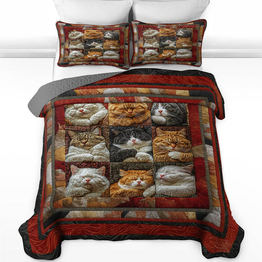 Shineful Flat Print All Season Quilt 3-Piece Set Napping Felines