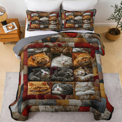 Shineful Flat Print All Season Quilt 3-Piece Set Cute Slumbering Cats