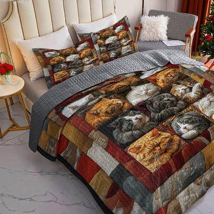 Shineful Flat Print All Season Quilt 3-Piece Set Cute Slumbering Cats