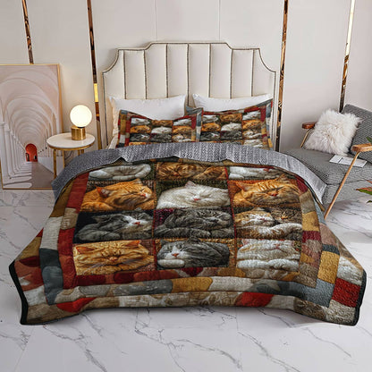 Shineful Flat Print All Season Quilt 3-Piece Set Cute Slumbering Cats