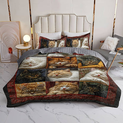 Shineful Flat Print All Season Quilt 3-Piece Set Pretty Snoozing Cats