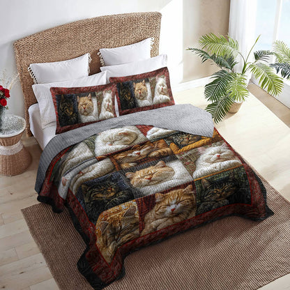 Shineful Flat Print All Season Quilt 3-Piece Set Pretty Snoozing Cats