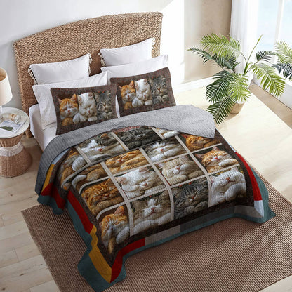 Shineful All Season Quilt 3-Piece Set Cute Sleeping Cats