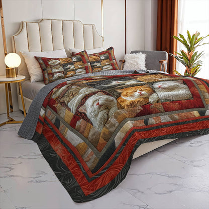 Shineful Flat Print All Season Quilt 3-Piece Set Napping Felines